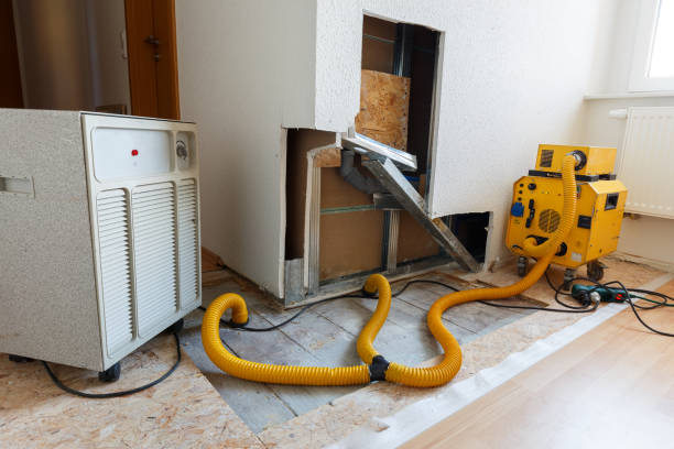 Best Mold Removal for HVAC Installations  in Star City, WV